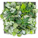 ffffffffd465d100c081d2008080b0a2e035c804d808d389d202c943c9abffdf00000000004b375f009c4952006c3b32