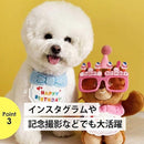 01000fc01fe01fe01be01de009c001c803be33ca3f82fb08fff8f83cf66cf81b21212122211c1c2121881efa291a0bf2