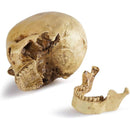 fffffffff8ffe03fc03f807f801f803fc03f802fc0cf839ebf91ff81ff07ffff00000000001c1f00001a1b0000000018