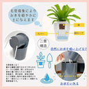 ffffffd7e7e3d7e5ffe7ffeff614c3e7c3ffe7dde761ffb0f7c0d3e1df61ffef