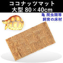 000000000000fff0c7ffdbffffcfff0ff807e007c003c00fe03fe0fff3ffffff