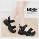 ffffffffffdffffffff0fffffefffffff7ffc3ffc77ff11ff11bf011f101ff63000089ab00000b0000a2171800ab1512