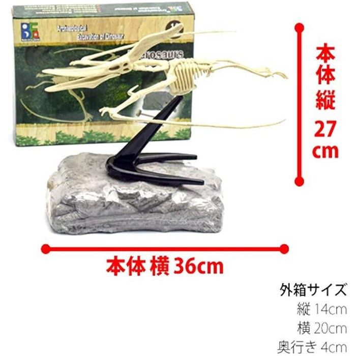 レア！！翼竜　プテラノドンの骨化石　約65mm 31hcobwBfBL.jpg_BO30,255,255,