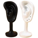 fffffffff1cfe0cfe0cff0eff0f7f0f7f0fff9fffbeffbeffbeff8fff0fff9e700000000001c001c0017002200000000