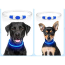 ffffffffffffe5e7ffffe1ddc0cbc0c1c1e3e1e3e3f7ebe3c3e3c1e1c1fdc1e99200000092ab00ab950900b392a5009f