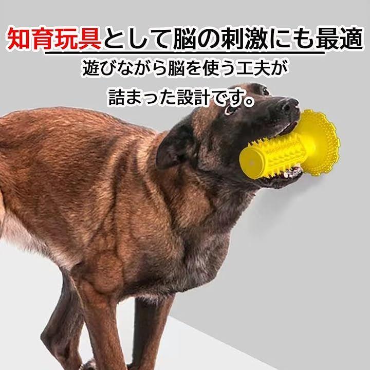ffffffffb078f5bff84f8f830205000d0007801f403fc03fe03fe0ffe0ffc1ff0000000000000000100d0e0b000f0e00