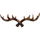 ffffffffffffebf3ebf6ebfab1cab1c0c081cebbfe3fff7fff7ffe3ffebffebf00000000a200000b000b000000000000