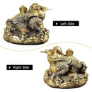 fffff4fff17fe0ff80cb807f807f887fffffff17ff97ff89c380ff00ff00ff8100000000005e00002400d50000000009