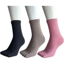 eeefeee7eeefefffe333f333f333f311f31bf112e110e231c4278443feefffff00808b5000a200f500a0f70000a4fcf3