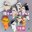 ff87efc0ffe2f8407d78d0f81398b30a8022802a0074c108908cc300fbb9efa433f504ca06189ef09e9f209f9e120917