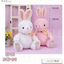 ffffffffc100c000c210c530c730c700c700ce18cf40c780c080fbffefffc7fd0000000000dfe4dc80f206f700f2c9e9