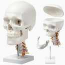 fffffefffe60fc70f47b8077f06cc070f1f9c1f9c1f1c1ecf1dff8fff07f80ff0000006b001b1b00001e6b1e001c0000