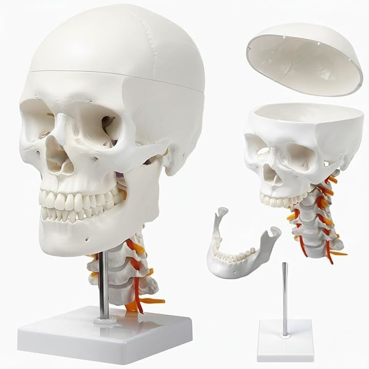 fffffefffe60fc70f47b8077f06cc070f1f9c1f9c1f1c1ecf1dff8fff07f80ff0000006b001b1b00001e6b1e001c0000