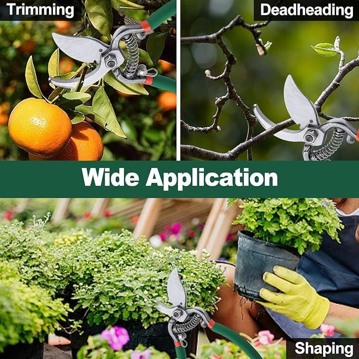 00a0908018891a810284ec867c8408820ff8ff6cfea5bf50fbe8ea9e71478cdf323080321f1f80346fd500693233358e