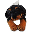 fffffffffe1ff007c0018001000100018001c001c3e1e3e1e0c1f001f003ffff