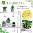 fff99efedffefdcfdcefcdf9dff1ffe1cde4f7b7e3e1d6d801c098c1ffc9aec100000000000000640000002154a20050