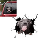 01ff01ff01ff01ff01ff01ff01fffe7ffe01fe01fe03fc23fc01fe01ffc3ffff