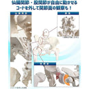 ffff8404d623a3ff83f3a3f3f7a892f093ff8bbfabbfbffff71f9b9f9680b1d1