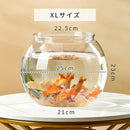 fffefffffffffff9fe7ff67a0e170e78040c0004044c0410f82ffc3fffff10001a1b1a1a1a1a1a1c18211c1d32171a24