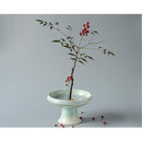 ffffffff00000000000000000000000000006000e060830001000100ffffffff