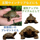 ffffffffffff004c787f61ff64f703e163e17e40107fefe3eb81fd00c180c386202020200d083600041f011200d5001a