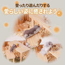 fffff747bfff8e9cf8eff0fff0fff10df40ffe4ff55f98d98f19e4bff1f3e3f71e171e1e1e1414171e1103141e0c2007