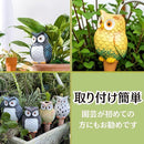 ffbbffcaee8dd05c701ec01ef8009c00000002ff60ffe3fc2eff03ff19ff06ff00ab35893a9f39242b2b2b2b70a03536