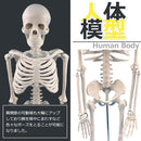 00ff1cf91cf908ff08ef00ff79e73eff7eff7eff0af709ff00ff40ff12ff00ff93939c0093179cd593159c1993929c47