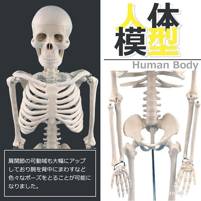 c81c67cbecfb7f0e03498b2db3c042