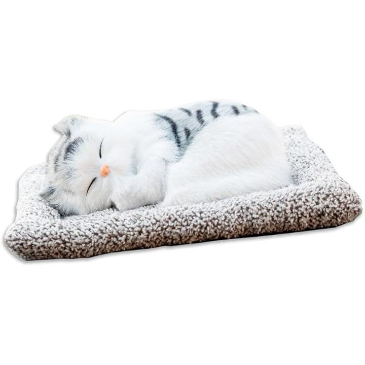 ffffffffffffffffffffff1fef2be509c0318000c00181ffffffffffffffffff00000000000000000013929200000000