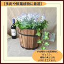 00004d9f7fff7fff7fbf7f7f720f6081560966017e057e097c177fd37fff7fe301010101011b8e1f0130123d01091219