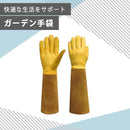 0055182a00d51eea07f51c9a389f789ffc9ffc9ffc9ffc9ffc9ffc9f5d9cabc08b8b8b008b8b00000000000000000000