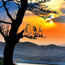 e1bf843f501fd922fbd7e3f9c3ff07ffe7ff819fc7ff003b8000868d00000800