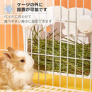 ffc0ffe0afffffffffd7ed8faf8ea093a08098800c8804006c003ffcfc8444c41312221213241c161515122a181a1f25