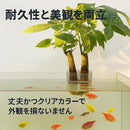 ffffffcbae41f818f7c2fc23ff4fffbfff9fff8fff8fb000fe46f00ee102c00422222417222b21341e24211f302c2b1d