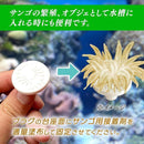 000000000000000023020021001ef83fffffffbf3a1f6388c15fffff9fff3ffe