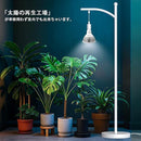 8079807d807d803d8035087520fd04fd283d17540604006404040e040784010e6b87898b6b89898b8983788e1794905e