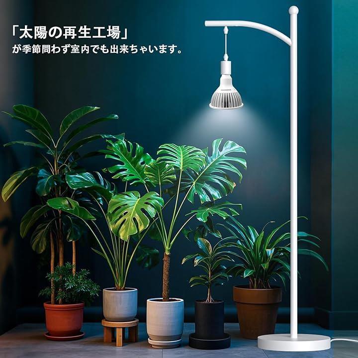 8079807d807d803d8035087520fd04fd283d17540604006404040e040784010e6b87898b6b89898b8983788e1794905e