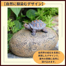 00006a7f500148014003602f62ff407f4f6f4ffb4eff476f47f945dd6efb7fe701010101014b443b0128a49c01151f0b