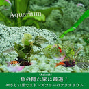 40802237002c0bd68000be00ff586dd8e8bf639d73f1f2f1fff2d3fb0200000042414f5a50463e47724e623b50e6669b