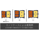 ffffffff8c219c238c219c238c21ffffffffffffffff0000000000000000ffff