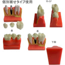 ffffee7fdfd9c3d9c399c399e988dbffffffc30fc30fc30fc300fff0fff1fff100000000001600000000000000040404