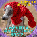 fffe7cf5e8bffa0ff807f003f003f40188197c197418fe18ff05e41f18cf7c97bfbc15bf1407fffe1c08011211800b67