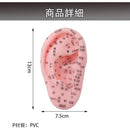 000000800000fffffe3ffc1ffc1ffe1ffc1ffc1ffc1ffe1ffe3ff67ffe7fc7ff04040404000003000000fe0000000100