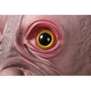 ffffffffffffffc035147000e0006020222040004000000080004000ffffffff00000000fafffafdfd031000ff02ff01