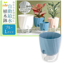 fffff100d800d804f800f386fb82c382c202c7e0ffe0ffe1ffe1ffe1fff1ffff0000000000803030008b3d8e0000008f