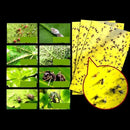 0000000000007a7f7df73fbf5fef5d7f36ff7c7e7dff7ffd75977d8e00000000000000000035410b003c382800123a25