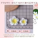 fffffd8ffffec000c000e000e002e203e403e013e463e003d003ddeffe9bfffffdfd0000fd0de1d0fdc4d5c0fdbdd0c4