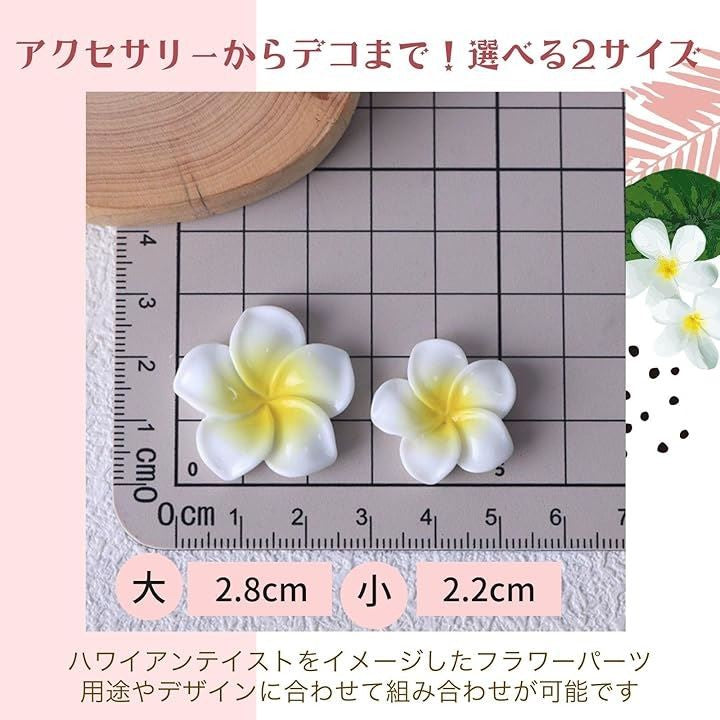 fffffd8ffffec000c000e000e002e203e403e013e463e003d003ddeffe9bfffffdfd0000fd0de1d0fdc4d5c0fdbdd0c4