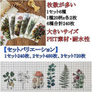 ffff90c3b09ffb8b9d8784ffc8ffc0e9ffffbfffb0b3f5f7f5b7d4639433f4212b6bd500804900000000000000abab1c